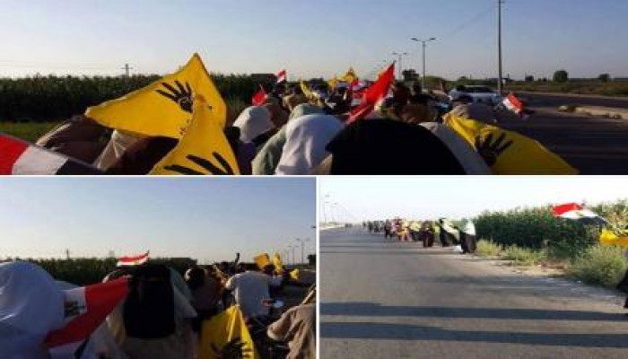 كفر الشيخ: سلسله بشريه لثوار الرياض انتهت بمسيره ضد حكم العسكر