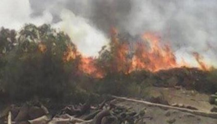 شؤم الانقلاب: الحرارة المرتفعة تتسبب فى حريق بغابة أشجار خشبية بأسيوط