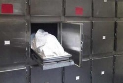 بعد شبرا الخيمة.. وفاة 4 سجناء بسجن الوادي الجديد