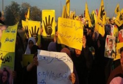 مسيرة‬ حاشدة وسلاسل لثوار فاقوس بالشرقية في بداية جمعة "مذبحة رابعة"