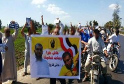 فعاليات متنوعة بالدقهلية‬ رفضا للحكم العسكري