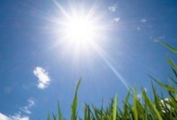 الأرصاد: طقس الأحد مائل للحرارة على القاهرة والوجه البحرى