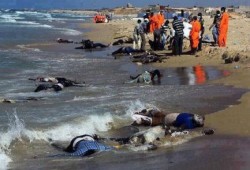 ميدل إيست آي: دم "صفا" في رقبة النظام المصري