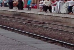 انتحار شاب تحت عجلات قطار ملوي بالمنيا