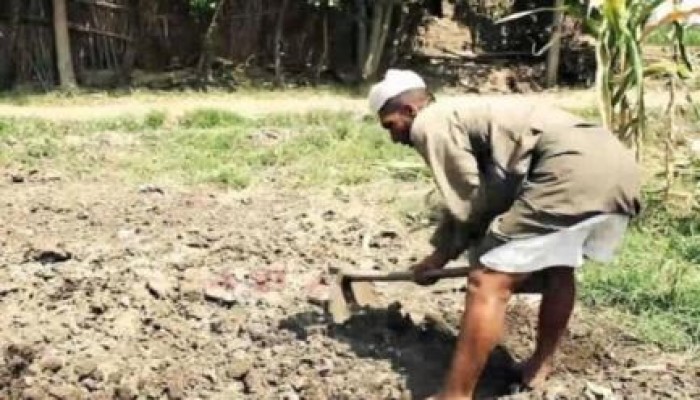 فى عهد العسكر: خسائر فادحة في «الزراعة»!