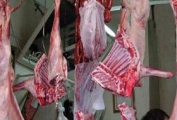 الإحصاء: ارتفاع أسعار اللحوم في مصر بنسبة 298.2%