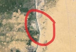 أحدث كوارث ترعة السيسي: القناديل السامة هدية السفاح لـ البحر المتوسط