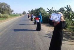 الغربية: فعالية مناهضة للانقلاب على طريق طنطا كفر الشيخ