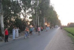 الغربية: ثوار السنطة يطالبون بالقصاص لدماء الشهداء