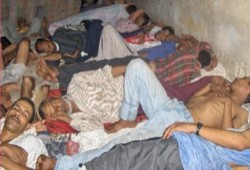 مفرح: استشهاد 305 داخل سجون الانقلاب منذ 3 يوليو 2013