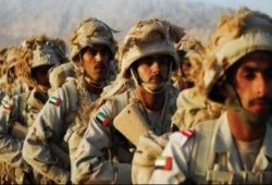 الإمارات تعلن عن مقتل 45 من عناصر جيشها في اليمن