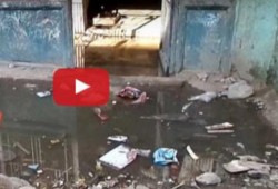 مياه المجاري تقتحم 600 شقة في بشتيل ( فيديو )