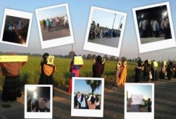 فعاليات متنوعة بالدقهلية‬ معارضة للحكم العسكري