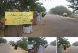 بالفيديو  .. فعاليات ثورية بالشرقية وبني سويف ضد (#إعدام _الشباب)