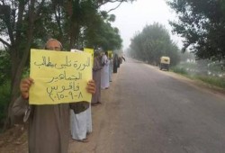 الشرقية : ثوار فاقوس ينظمون سلسلة بشرية ضمن فاعليات "الثورة تلبي مطالب الجماهير "