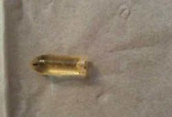 بالصور.."لبوس" جليسرين للأطفال الرضع محشو بالحشرات!!