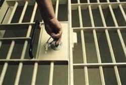 البحيرة: جنايات دمنهور تقضي ببراءة أحد رافضي الانقلاب