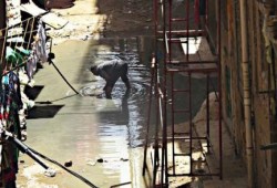 مياه الصرف الصحى تغرق شوارع الأسكندرية ومياه الشرب غير موجودة