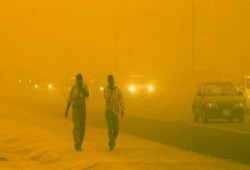 البيئة: انخفاض ملحوظ فى الأتربة والشوائب العالقة بالجو غدًا