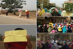 10 فاعليات ثوريه بالمنوفية فى  جمعة " غضبة الغلابة والمظلومين "