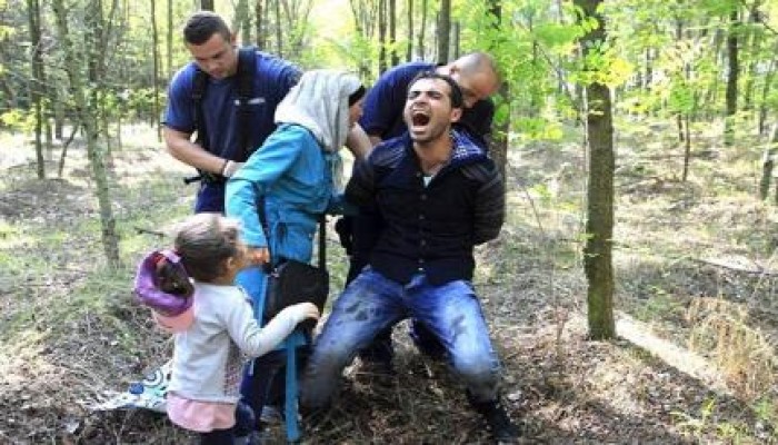 نائب هولندي يعتبر تدفق المهاجرين على أوروبا "غزوا إسلاميا"