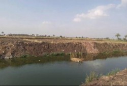 أهالي الشرقية يستغيثون من كارثة تربية الأسماك فى المصارف وبيعها