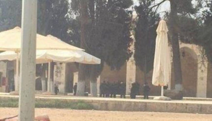 بيان صحفي صادر عن حركة حماس تعقيباً على اقتحامات المسجد الاقصى