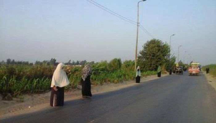 البحيرة: فعالية لثوار كوم حماده ضمن فعاليات أسبوع "غضبة الغلابة والمظلومين"