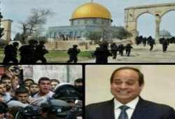 بعد أيام من رفع علمها بالقاهرة.. إسرائيل تقتحم الأقصى : أين مسافة السكة؟