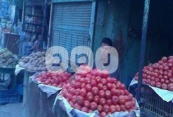 الطماطم بـ9 جنيهات والكوسة بـ7.. ارتفاع أسعار الخضروات بالفيوم