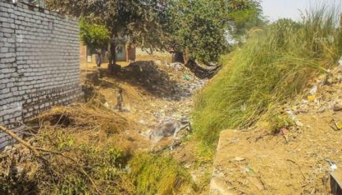 بالصور .. الأراضي في قرية العطف بلا مياه ري منذ90 يومًا.. ومسؤولي الانقلاب يتجاهلون