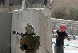 الاحتلال الصهيوني يعتقل 66 فلسطينيًا من راشقي الحجارة والزجاجات الحارقة بالقدس