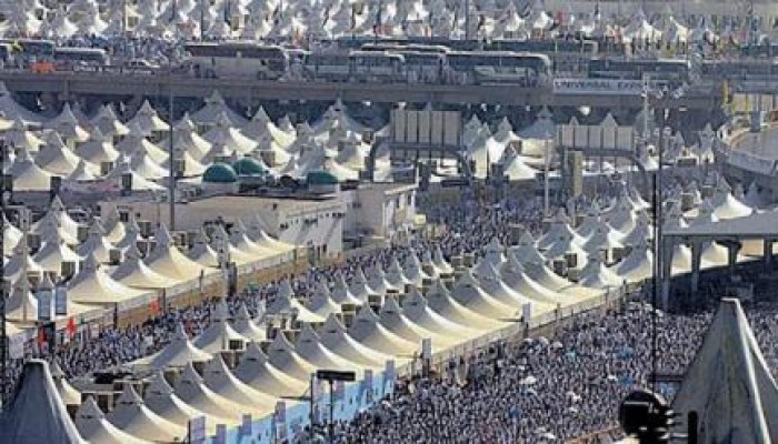 تصعيد حجاج السياحة إلى عرفات مباشرة