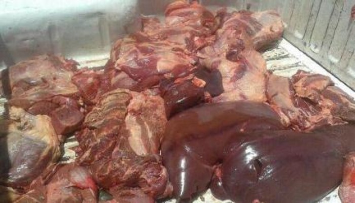 لحوم فاسدة داخل منفذ حكومي تباع للمواطنين بالإسماعيلية