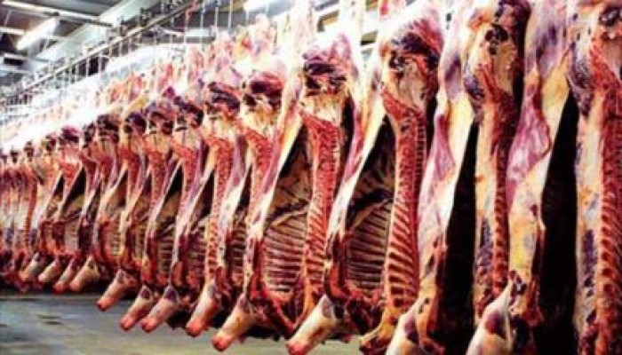 ارتفاع أسعار اللحوم قبل العيد.. والفقراء: بلاها لحمة نقضّيها فراخ