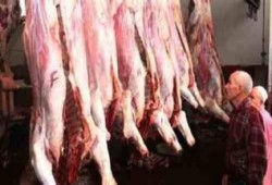 المصريون في عيد الأضحى.. بلاها لحمة ولبس كمان!!