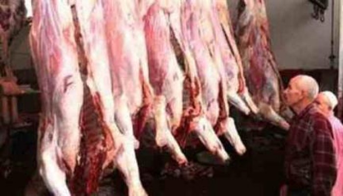 المصريون في عيد الأضحى.. بلاها لحمة ولبس كمان!!