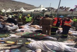 وفاة وإصابة أكثر من 480 حاجا بحادث تدافع في "منى"