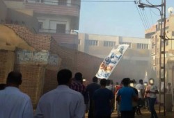 فعاليات متنوعة ب‏الدقهلية‬ في أول أيام عيد الأضحى المبارك