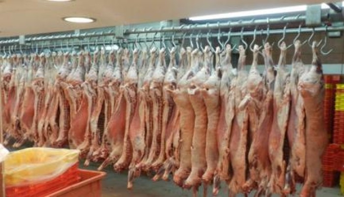 الإفراط فى تناول لحمة العيد يسبب اضطراب الجهاز الهضمى والقولون