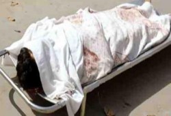 شؤم الانقلاب: مصرع أمين شرطة ومجند وإصابة 6 مواطنين في حادث تصادم بالفيوم