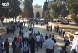 المرابطون يتصدون لاقتحامات المستوطنين للمسجد الأقصى صباح اليوم (فيديو)