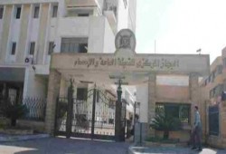 "المركزي للإحصاء": تراجع الصادرات خلال "يناير - يونيو" يهدد بكارثة