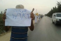 البحيرة: سلسلة بشرية لثوار النوبارية للتنديد بالاقتحامات المتكررة للمسجد الأقصى