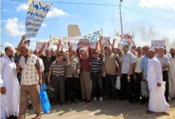 إضراب 4 آلاف عامل بـ"العامرية للغزل" بالإسكندرية