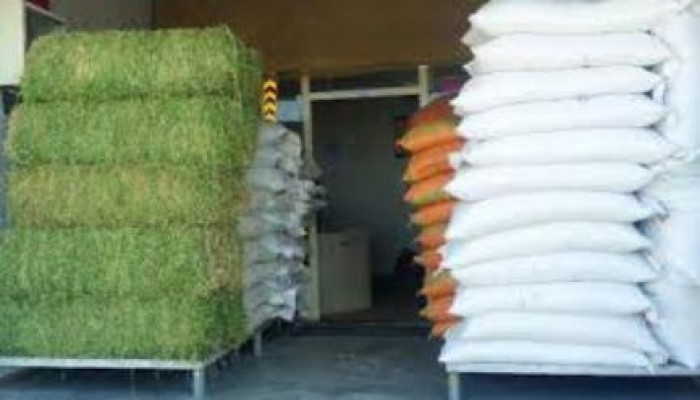 "اتحاد الدواجن": ارتفاع أسعار الأعلاف 800 جنيه يشرد 2.5 مليون عامل