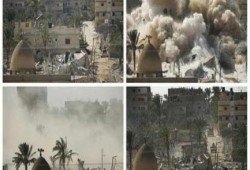 خبيرة نمساوية: على مصر تقييد حريات القتل التي تمارسها الأجهزة الأمنية