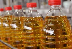 80% عجزا بالسلع التموينية للشهر الرابع.. والحكومة تتجه لرفع الأسعار 20%