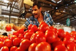 المواطنون يصرخون .. ارتفاع غير مسبوق بأسعار الخضر والفاكهة بأسواق الإسماعيلية