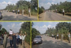 الغربية: سلسلة تتحول لمسيرة مناهضة للانقلاب بسمنود